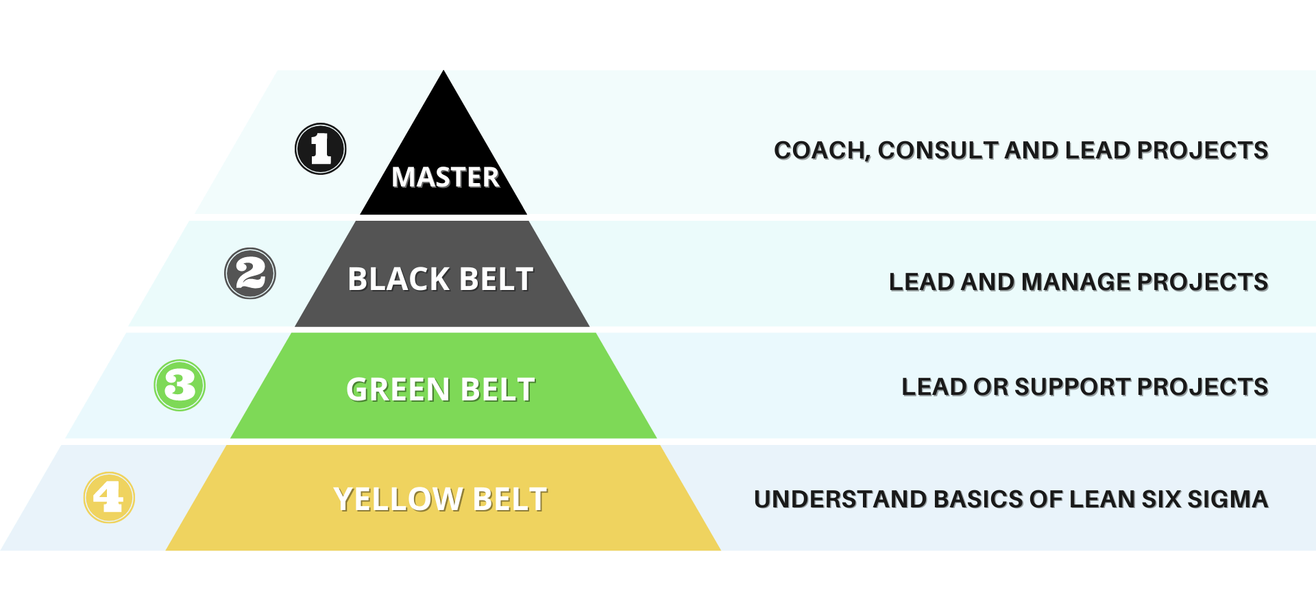 six sigma green belt